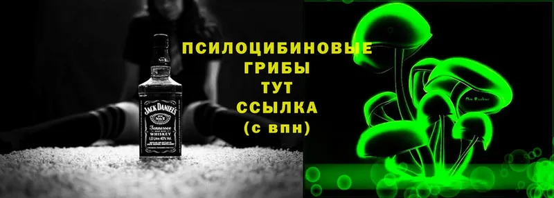 Галлюциногенные грибы ЛСД  blacksprut сайт  Мыски  цена наркотик 